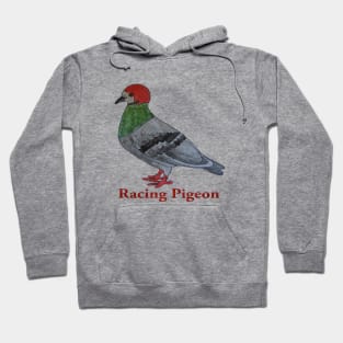 Racing Pigeon Hoodie